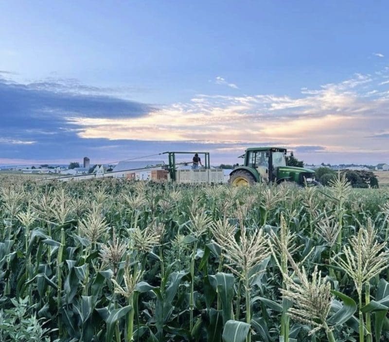 a view of a lancaster county farm field